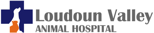 Loudoun Valley Animal Hospital